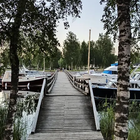 Jullimokki